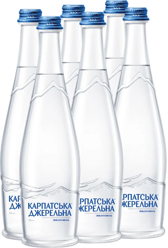 Упаковка мінеральної газованої води Карпатська Джерельна у склі 0,5 л х 6 пляшок