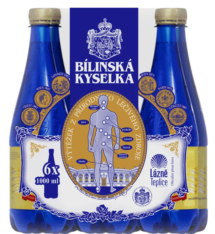 Мінеральна лікувально-столова вода Bilinska Kyselka 1,0 л (упаковка 6 шт.)